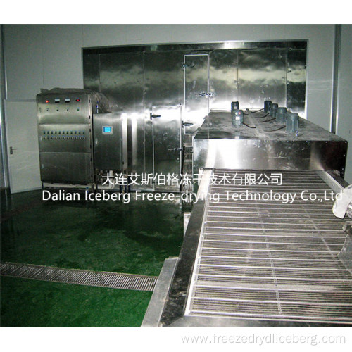 Individual Fluidized Freezing Machine